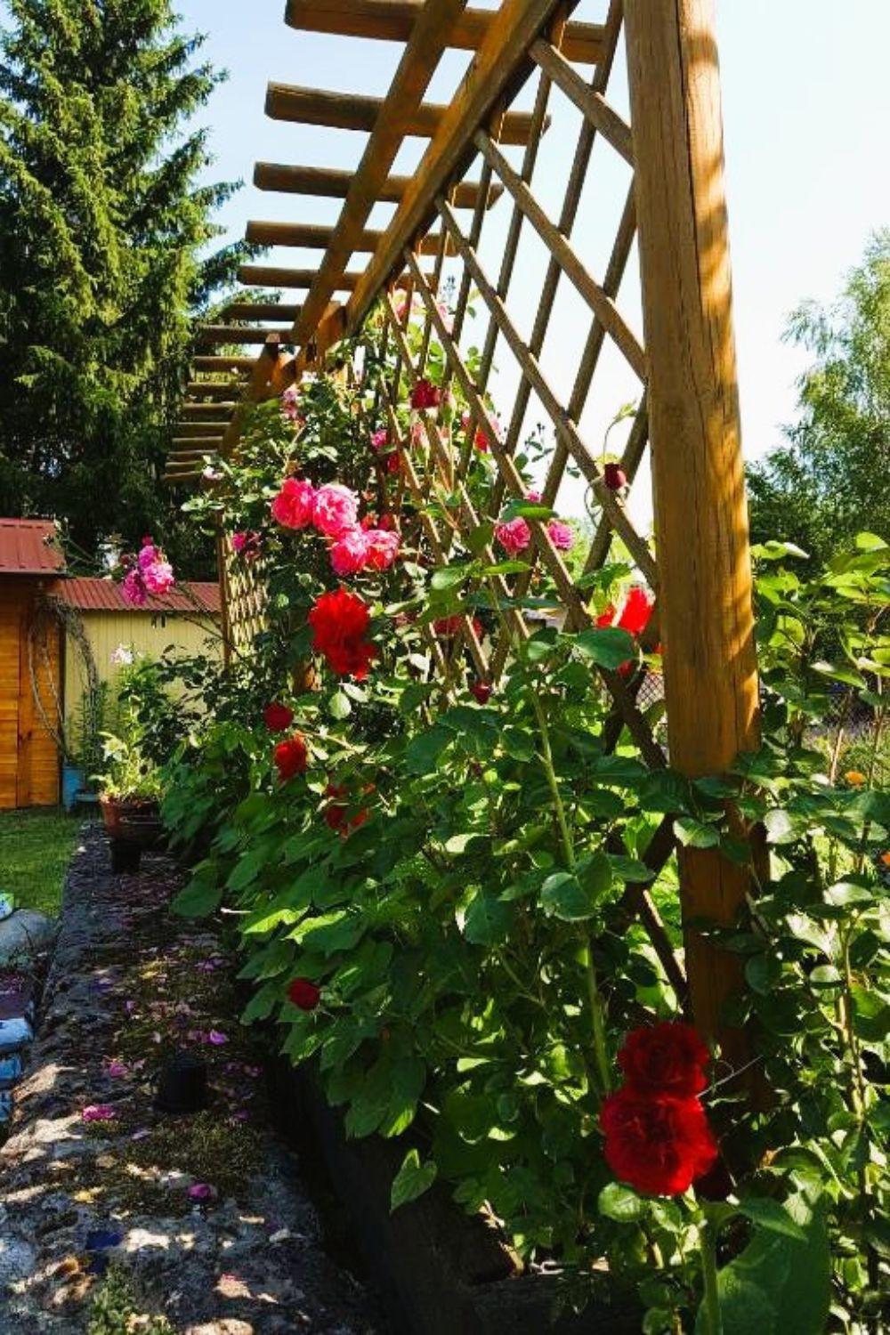 Olszyna Pod Brzoza Villa ภายนอก รูปภาพ