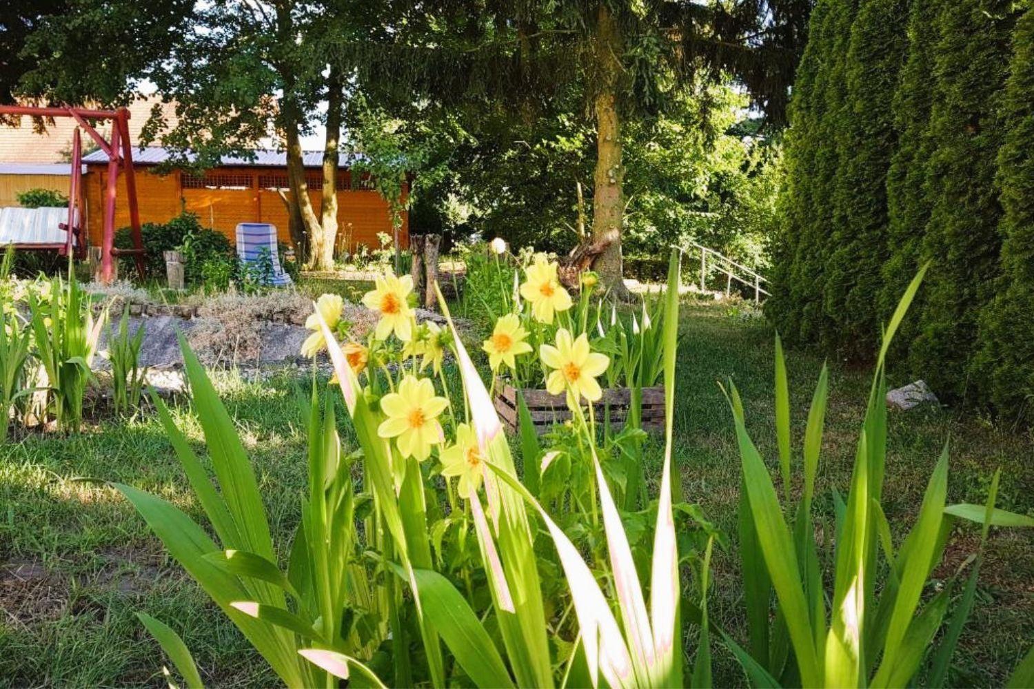 Olszyna Pod Brzoza Villa ภายนอก รูปภาพ