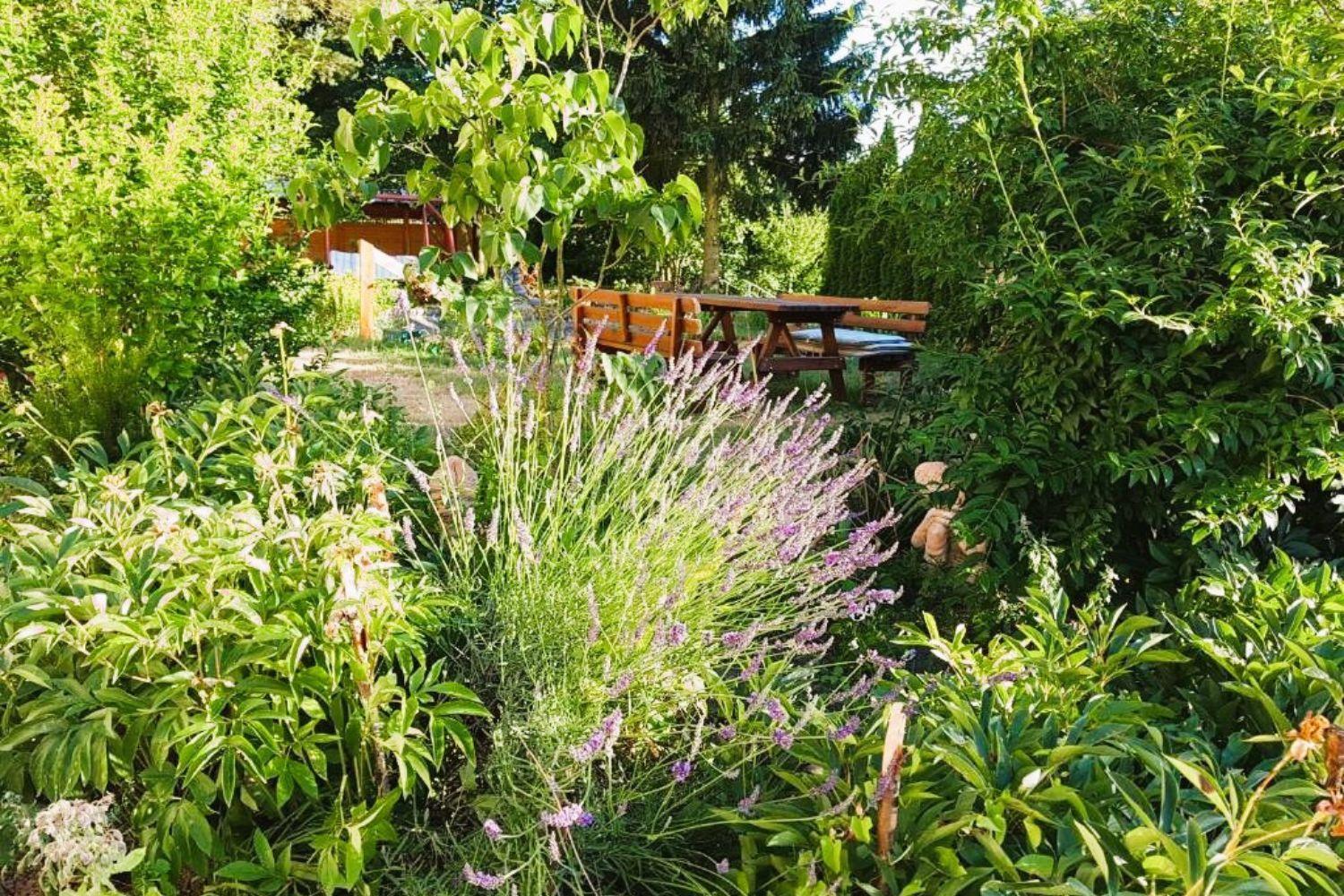 Olszyna Pod Brzoza Villa ภายนอก รูปภาพ